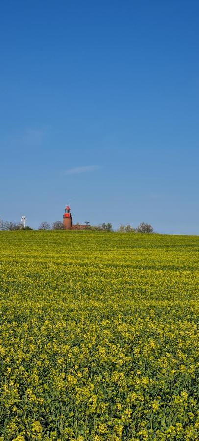 Ferienwohnung im Leuchtturmort Bastorf Exterior foto